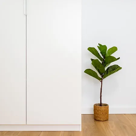 Centro Y Confort: Junto A Corte Ingles דירה